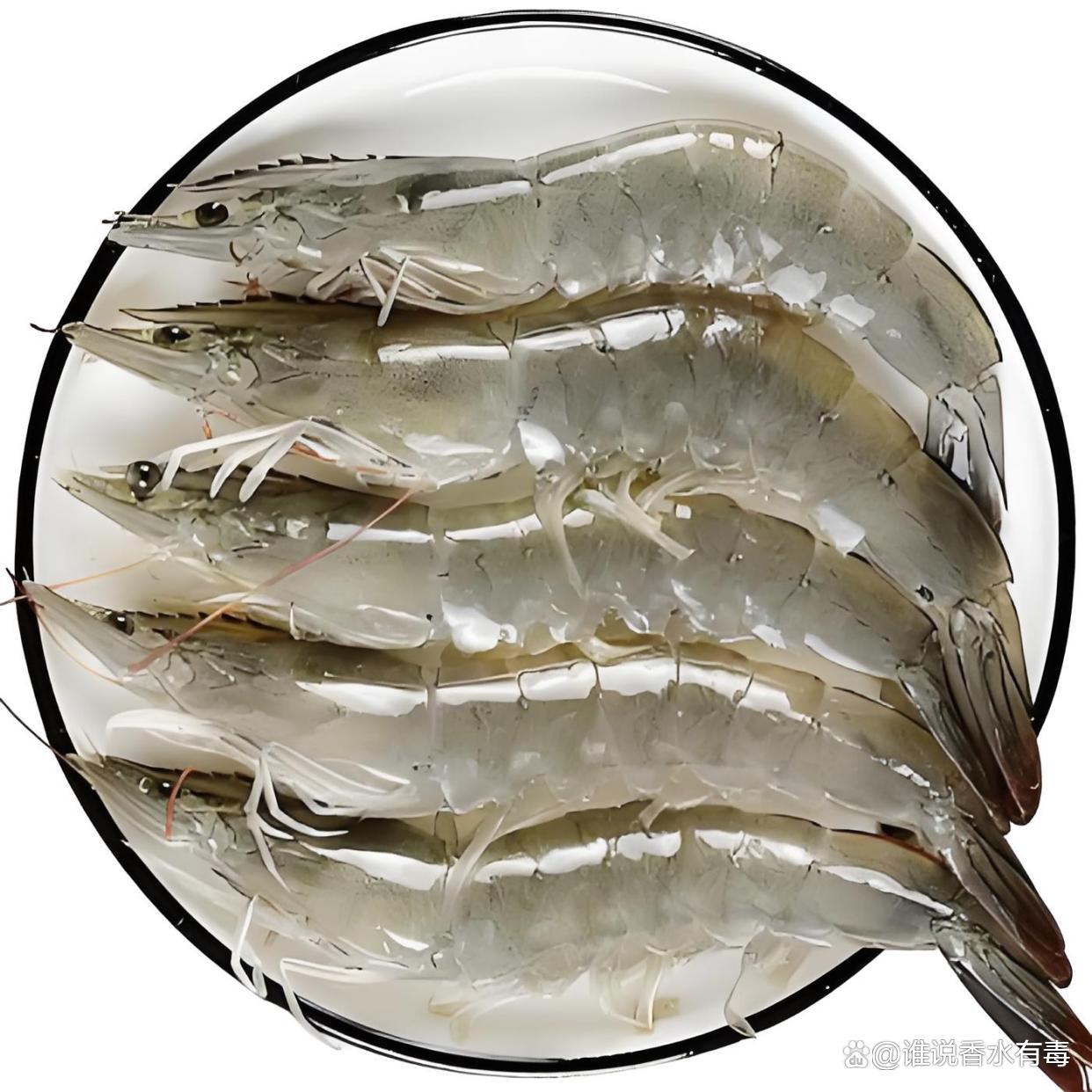 2025年10月10日 第18页