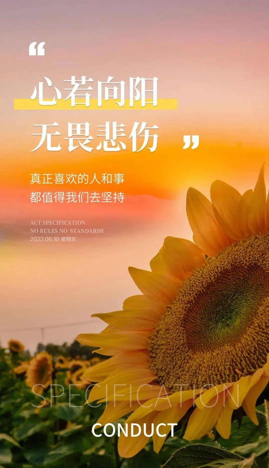 工作正能量的句子经典语句,工作正能量的句子经典语句大全