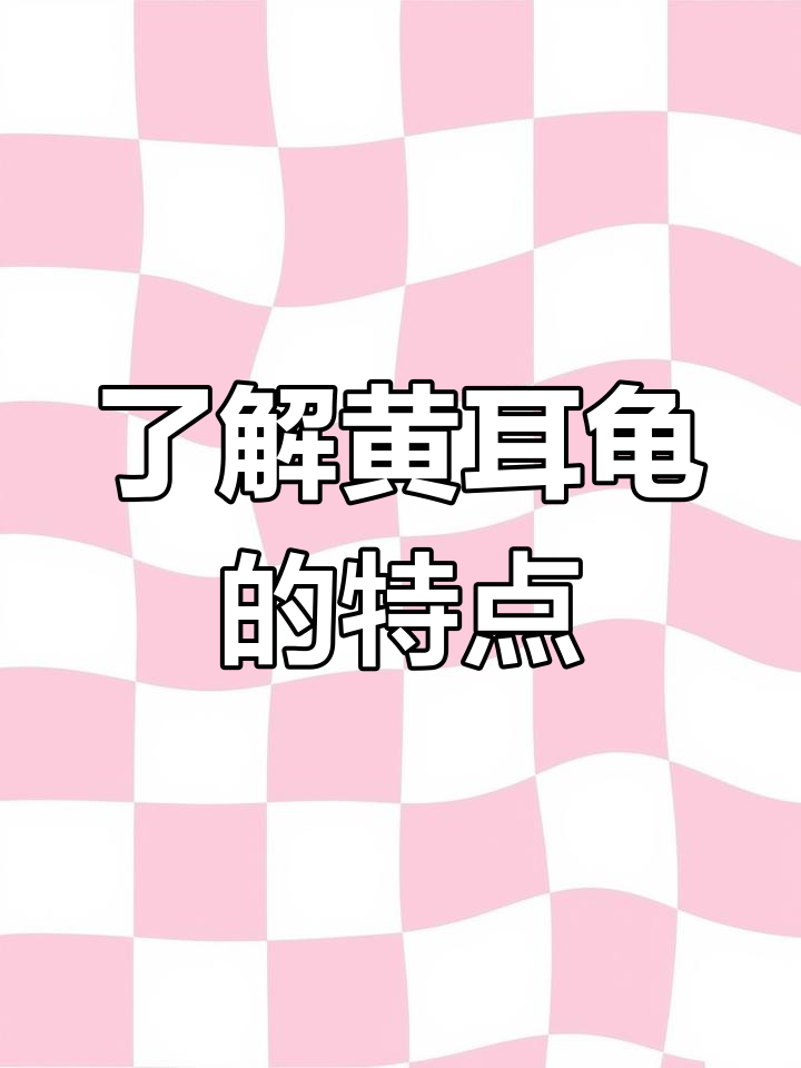 黄耳龟是巴西龟吗,黄耳龟为什么不建议养