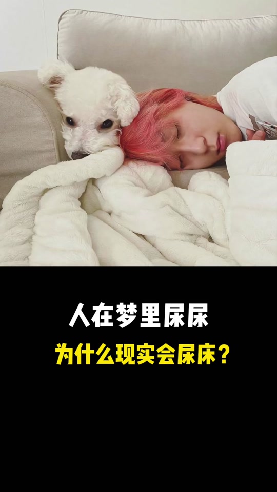 2025年10月11日 第65页