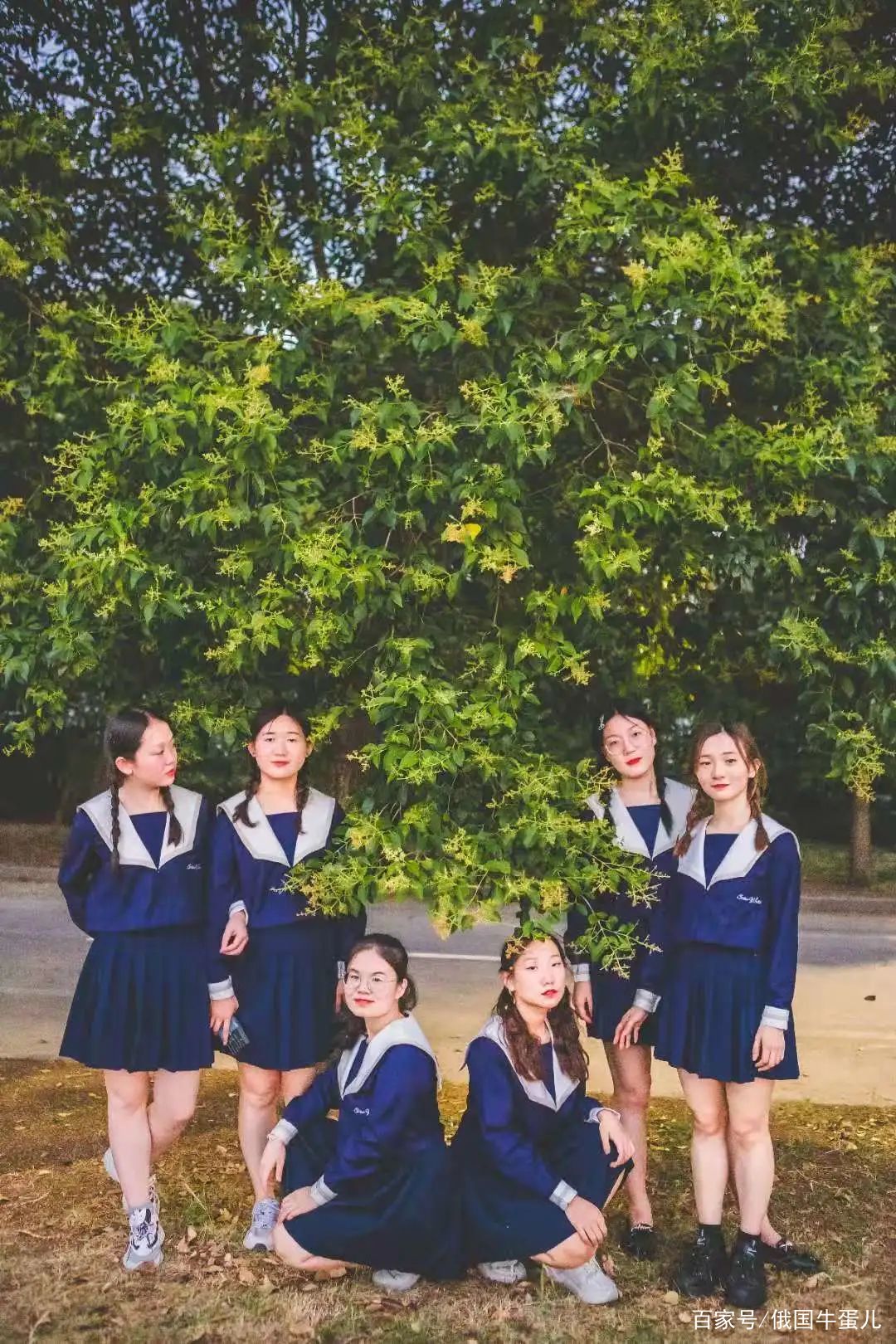 太平洋下载中心 第26页