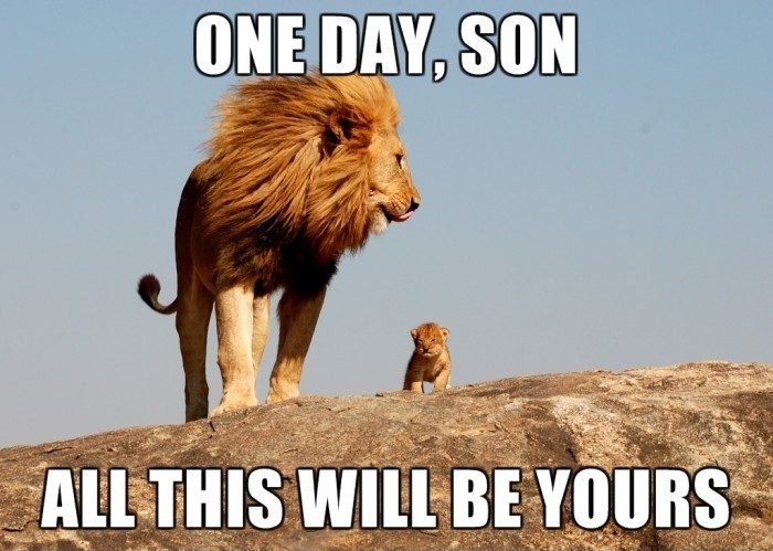 狮子王经典台词,狮子王经典台词20句