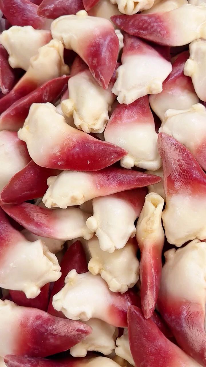 北极贝做法,北极贝的烹饪方法