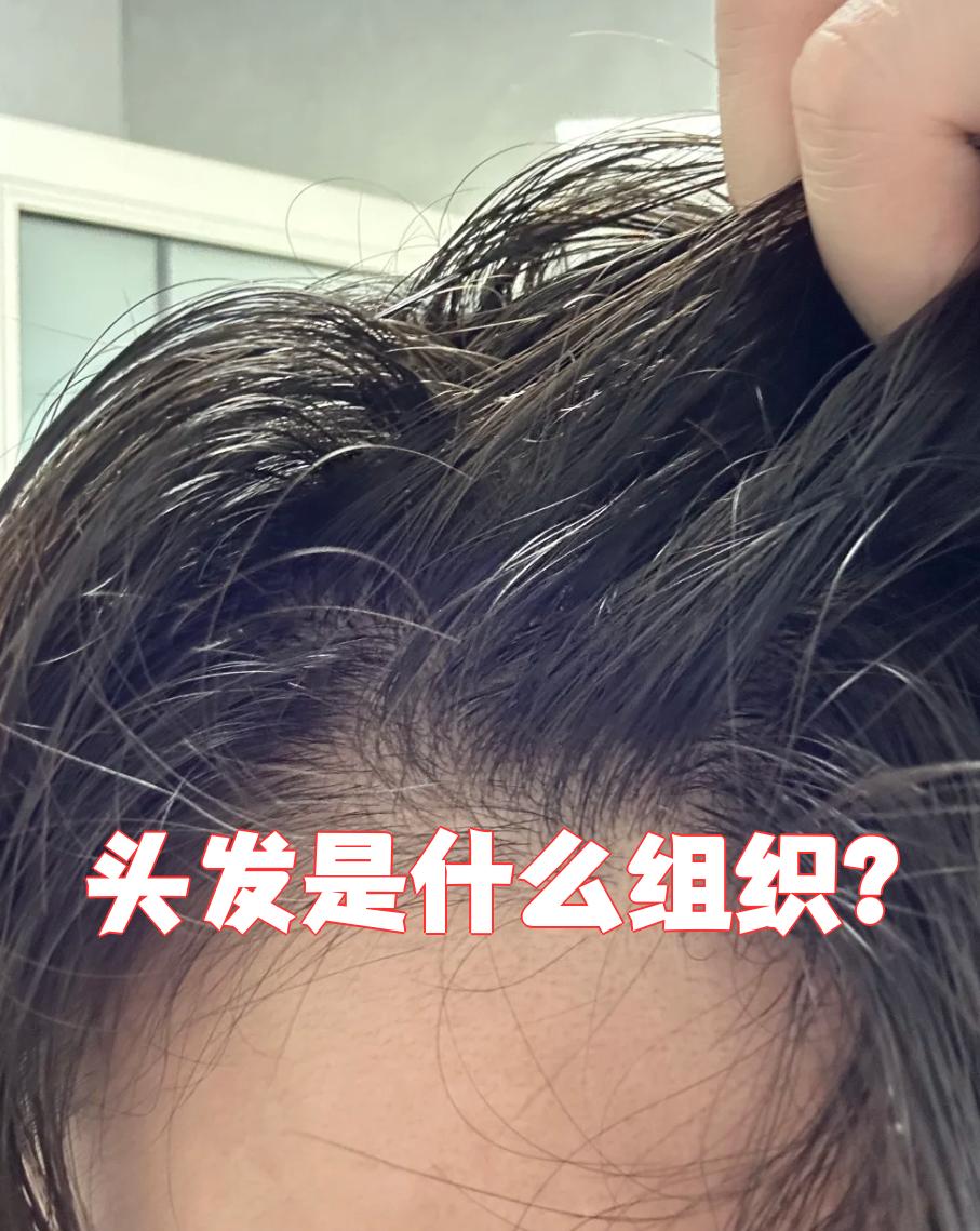 头发是什么意思,头发是什么意思翻译成英文