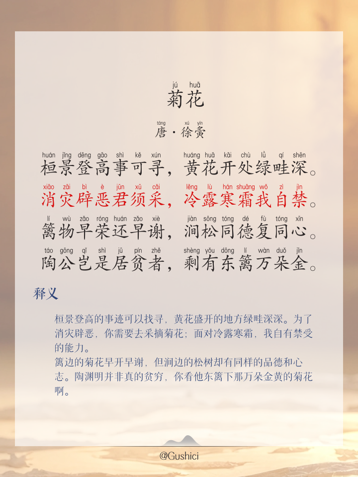 描写菊花的著名诗句,描写菊花诗句最出名诗句