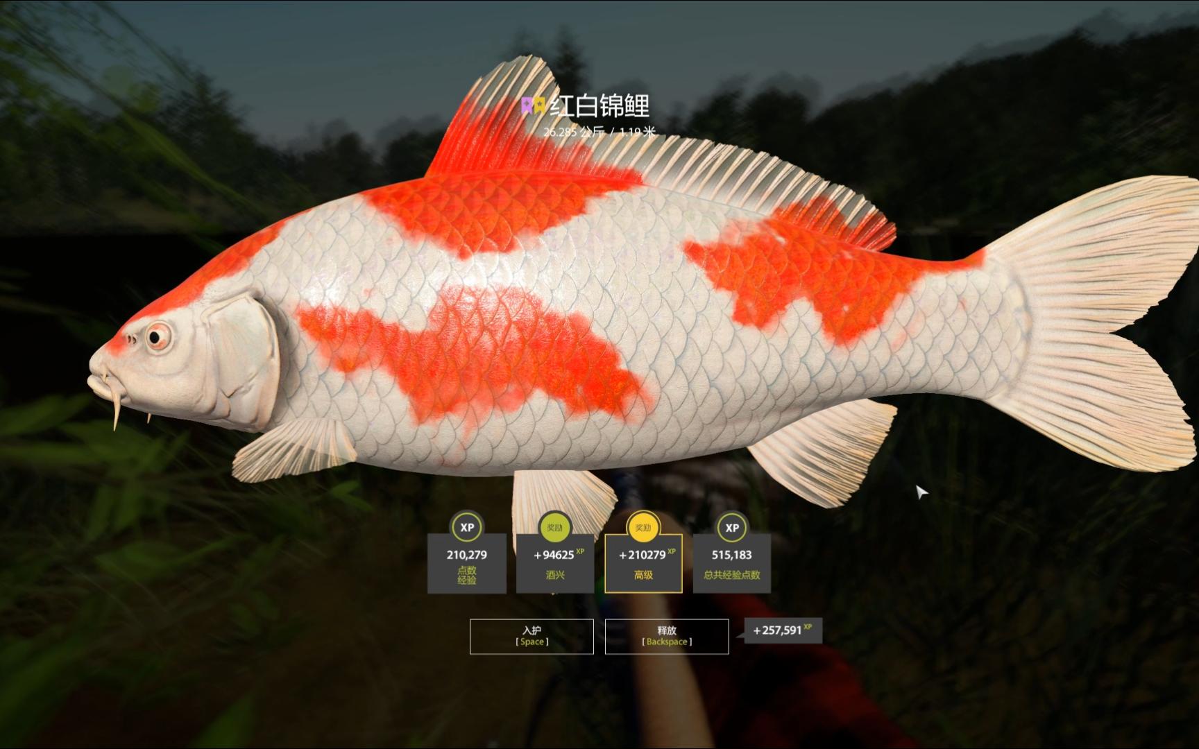 明日之后锦鲤分布,明日之后的锦鲤在哪的几率高