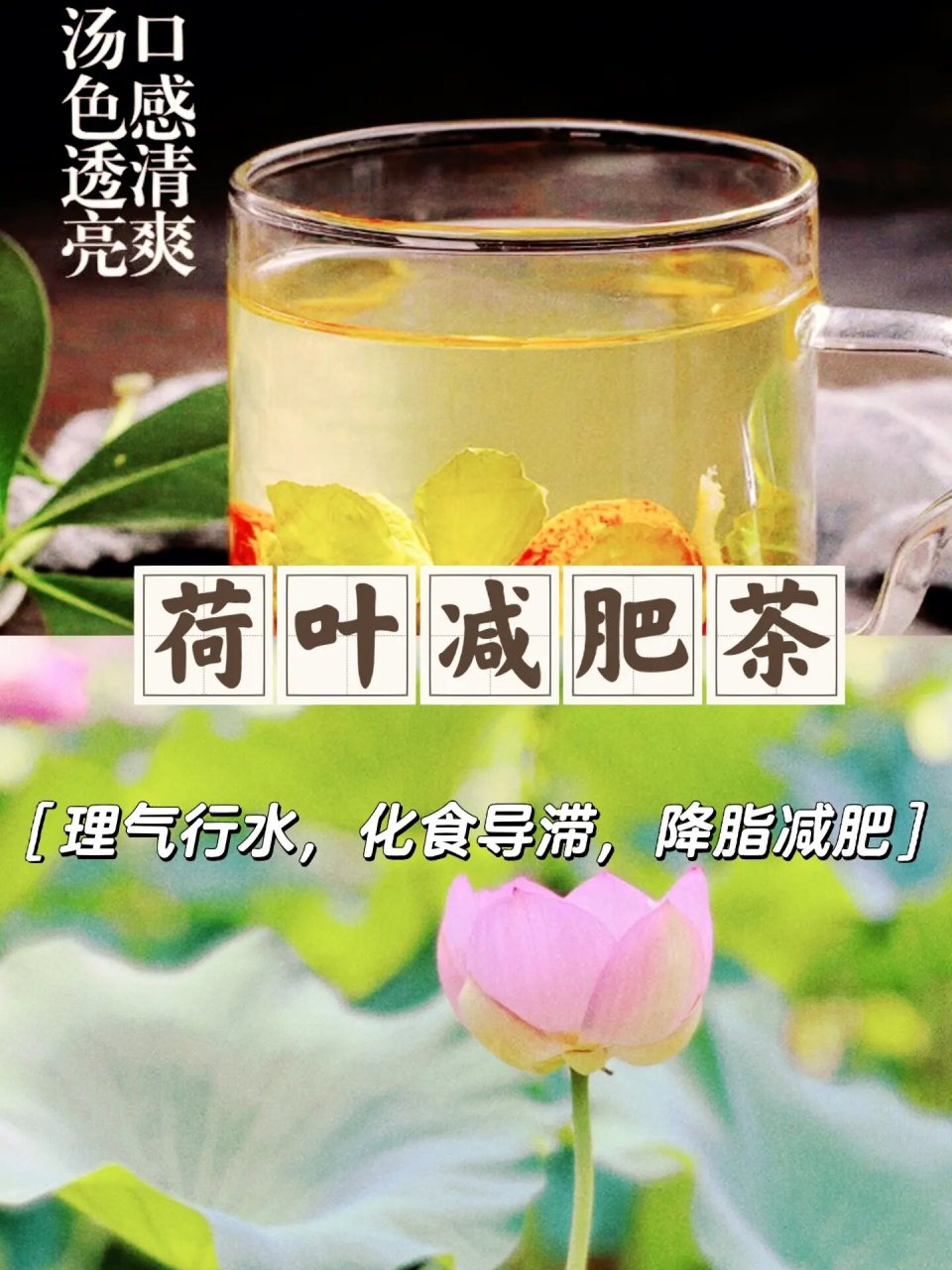 荷叶减肥茶的配方及喝法,荷叶减肥茶的配方是什么?