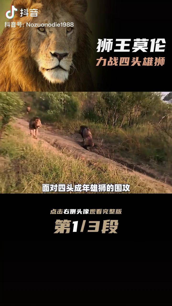 动物世界纪录片有哪些,动物世界纪录片大全集2015