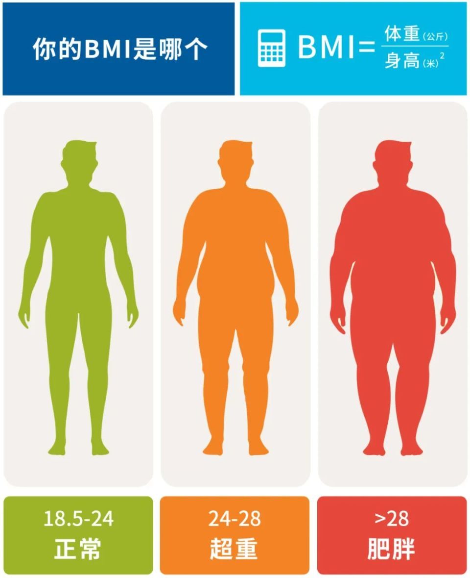 酷狗音乐 第22页