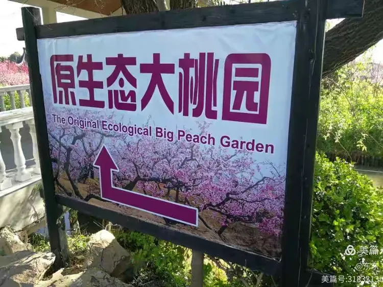 南汇桃花节什么时候开始,南汇桃花节什么时候开始举行的