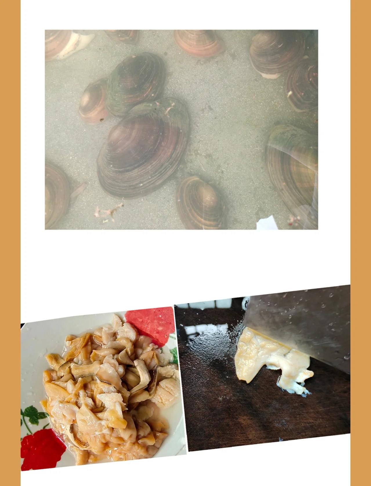 河蚌怎么做的好吃,河蚌怎么做的好吃又简单