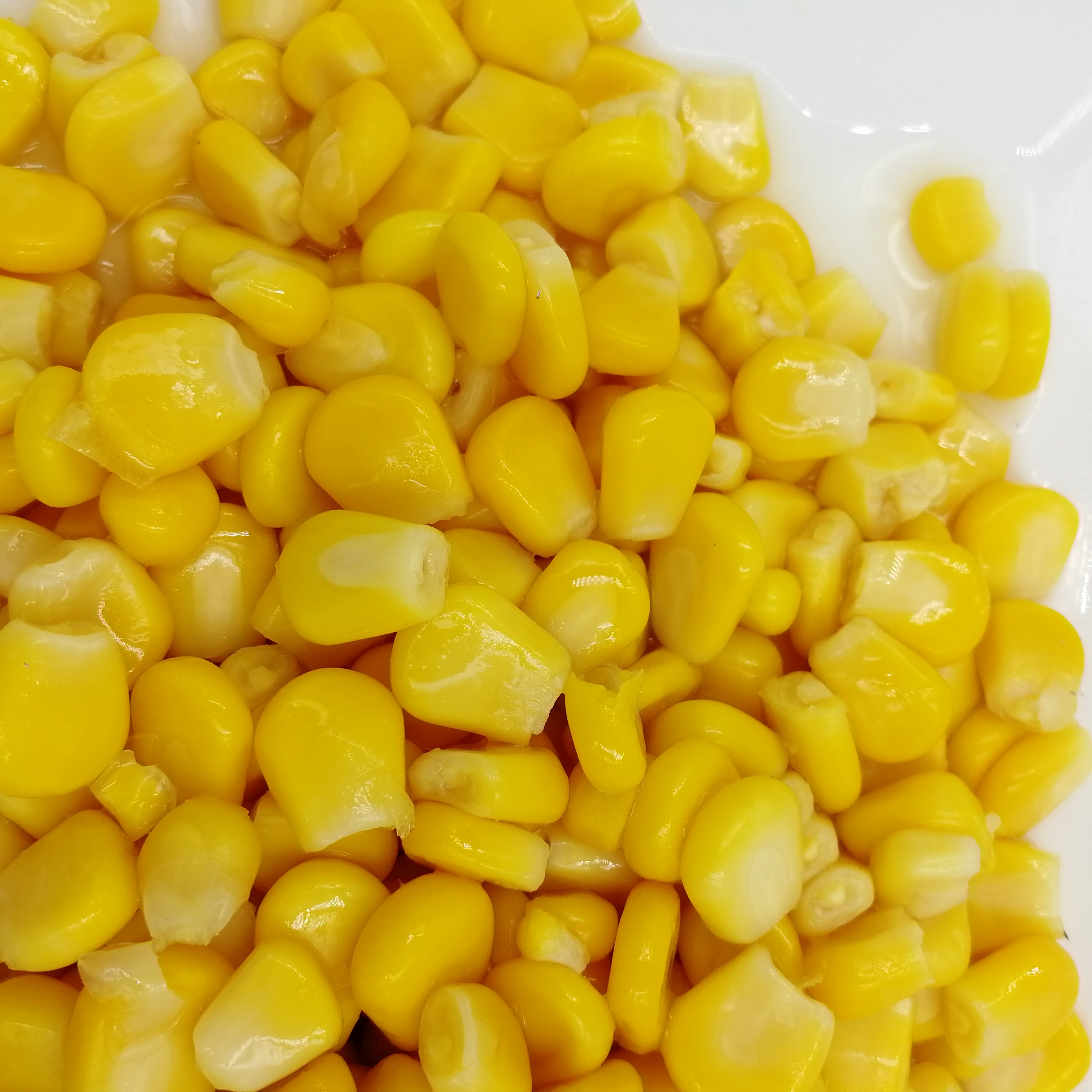 corn什么意思,corn是什么意思译