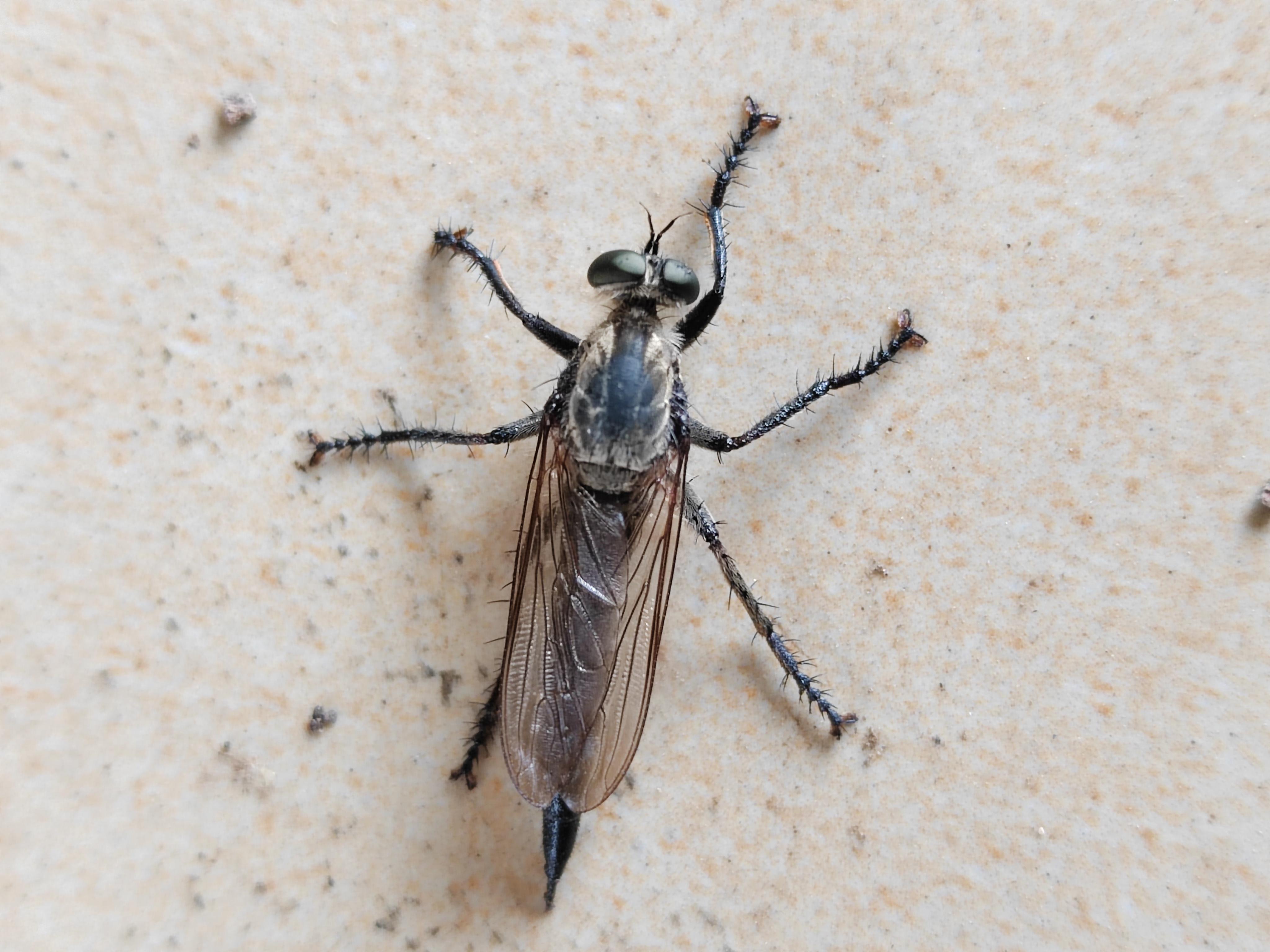 中搜行业中国 第22页