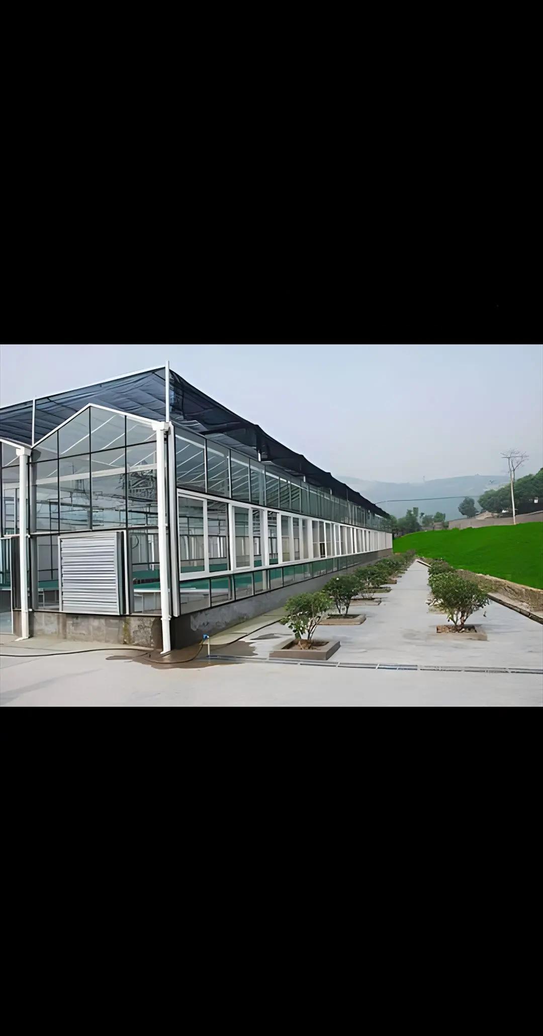 一亩大棚造价多少钱,一亩地的种植大棚造价