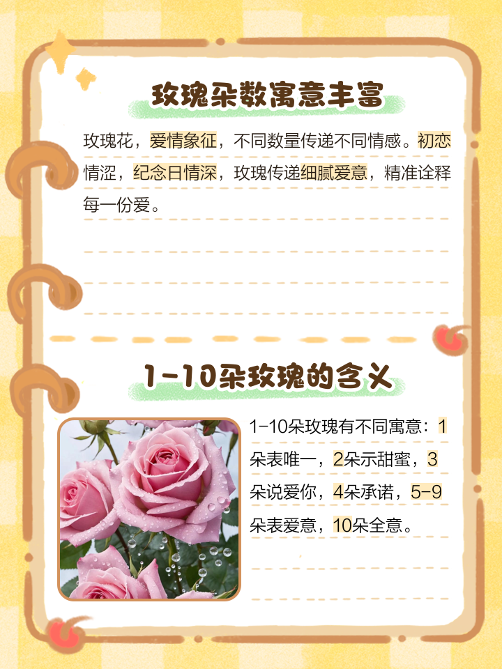 几朵玫瑰花的含义,几朵玫瑰花的含义和寓意