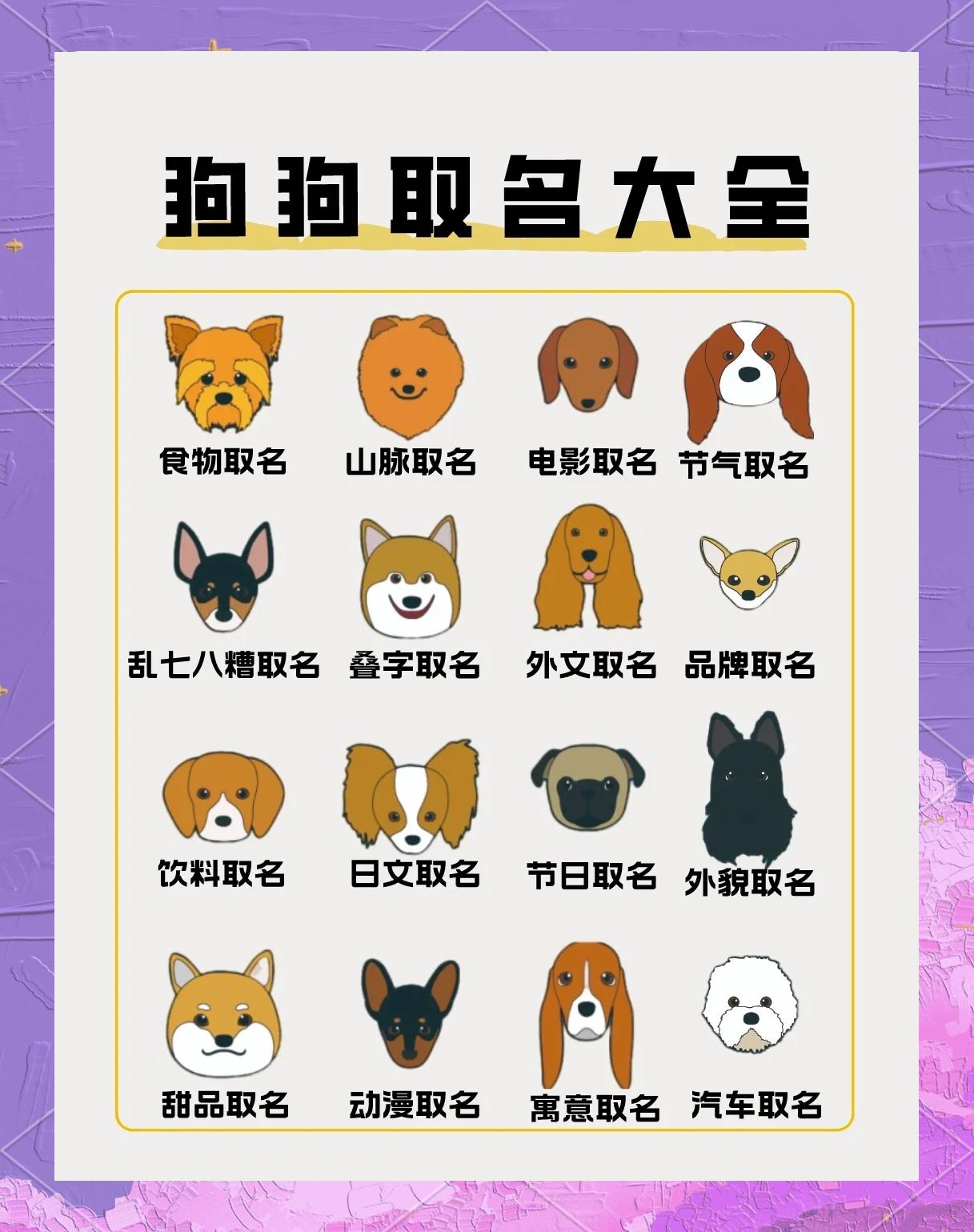 怎样给狗取名字好听,怎样给狗取名字好听点