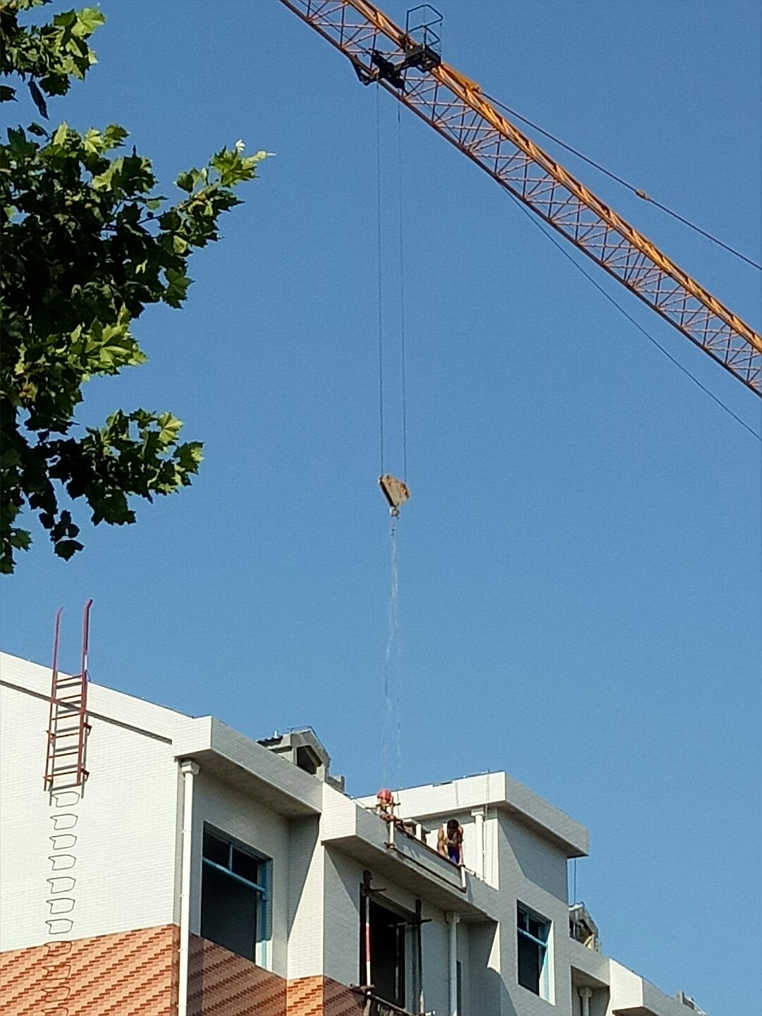 邹平县邮编,邹平县邮编查询