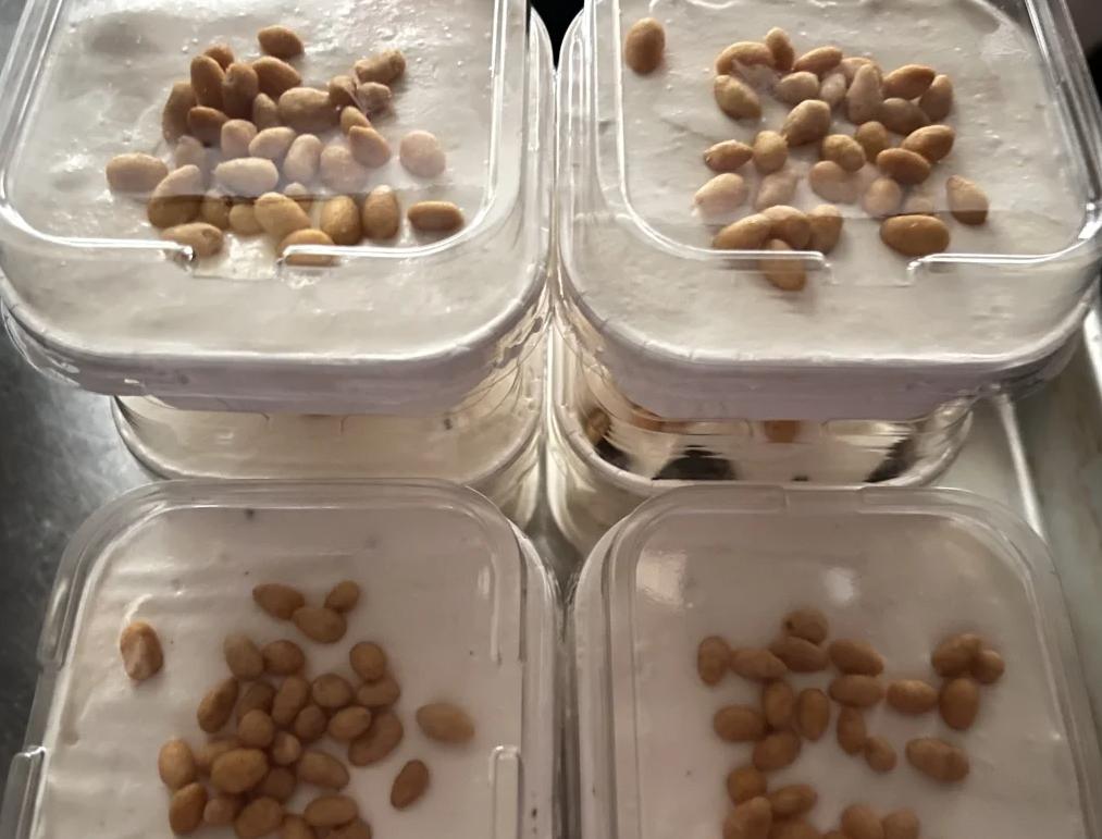 淡奶油做冰淇淋的做法,淡奶油做冰淇淋的做法和配方