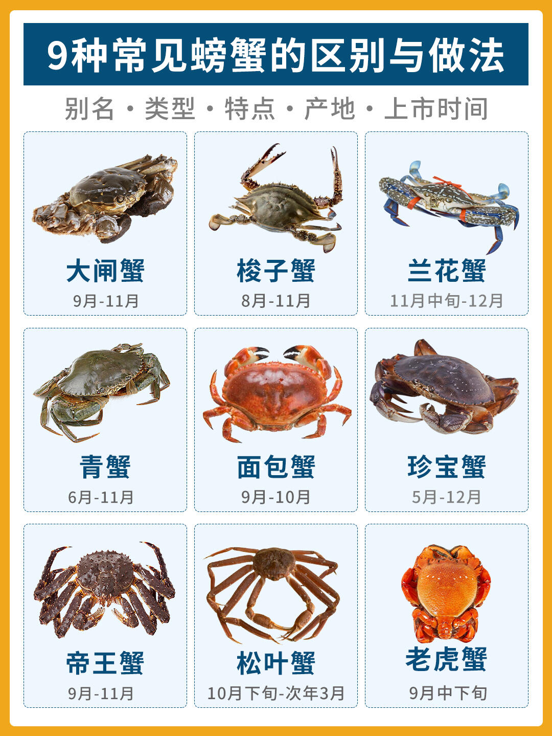 螃蟹英文是什么,螃蟹的英文是怎么说