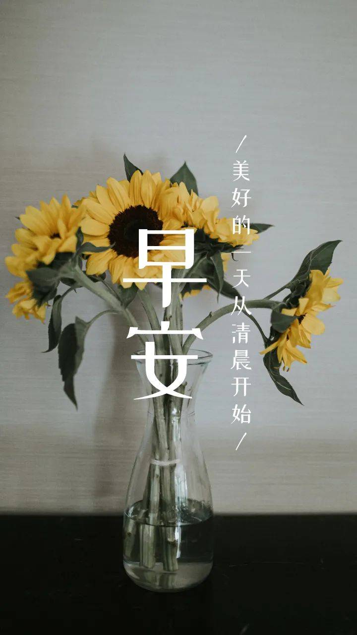 早安心语励志语句正能量,2021早安心语正能量励志句子