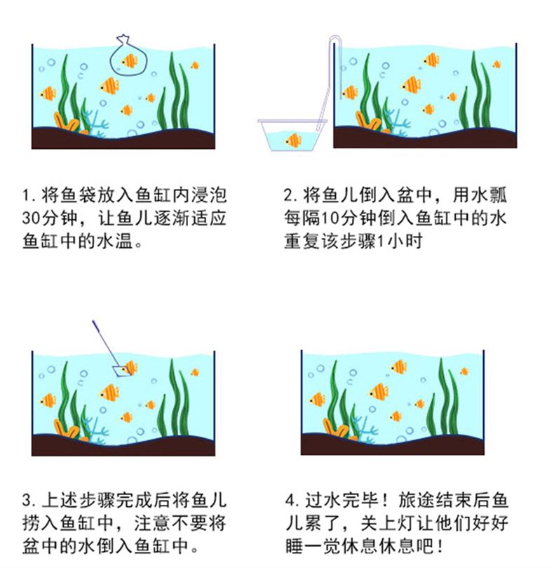 清理鱼缸粪便用什么鱼,清理鱼缸粪便用什么鱼图片