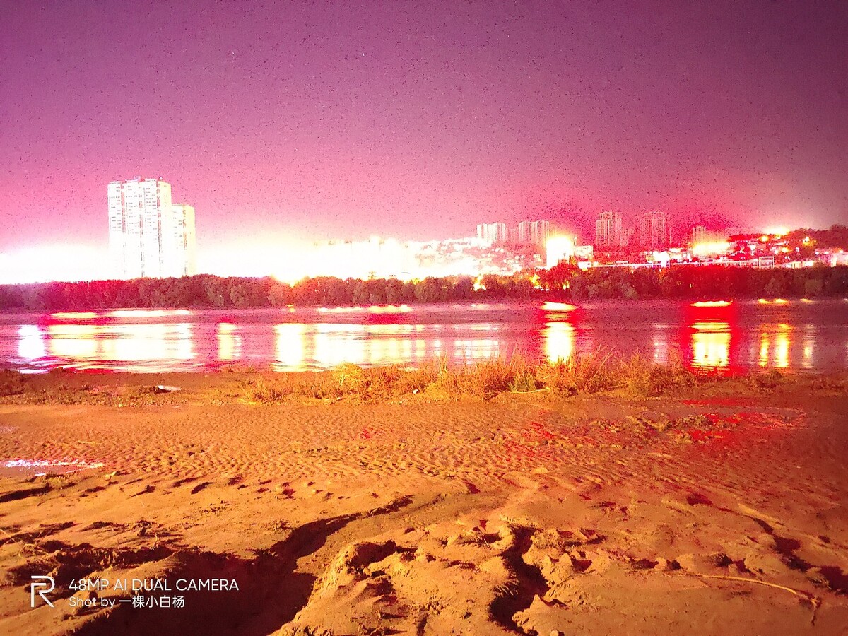 一颗小白杨原唱,一颗小白杨原唱歌曲