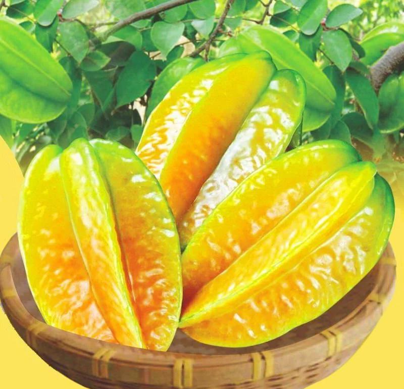 杨桃什么味道,杨桃什么味道写话