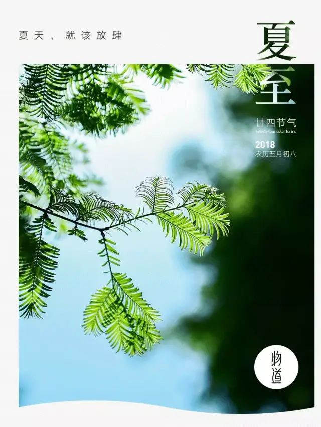 什么了夏天到了,什么夏天到了什么高山上的积雪融化了