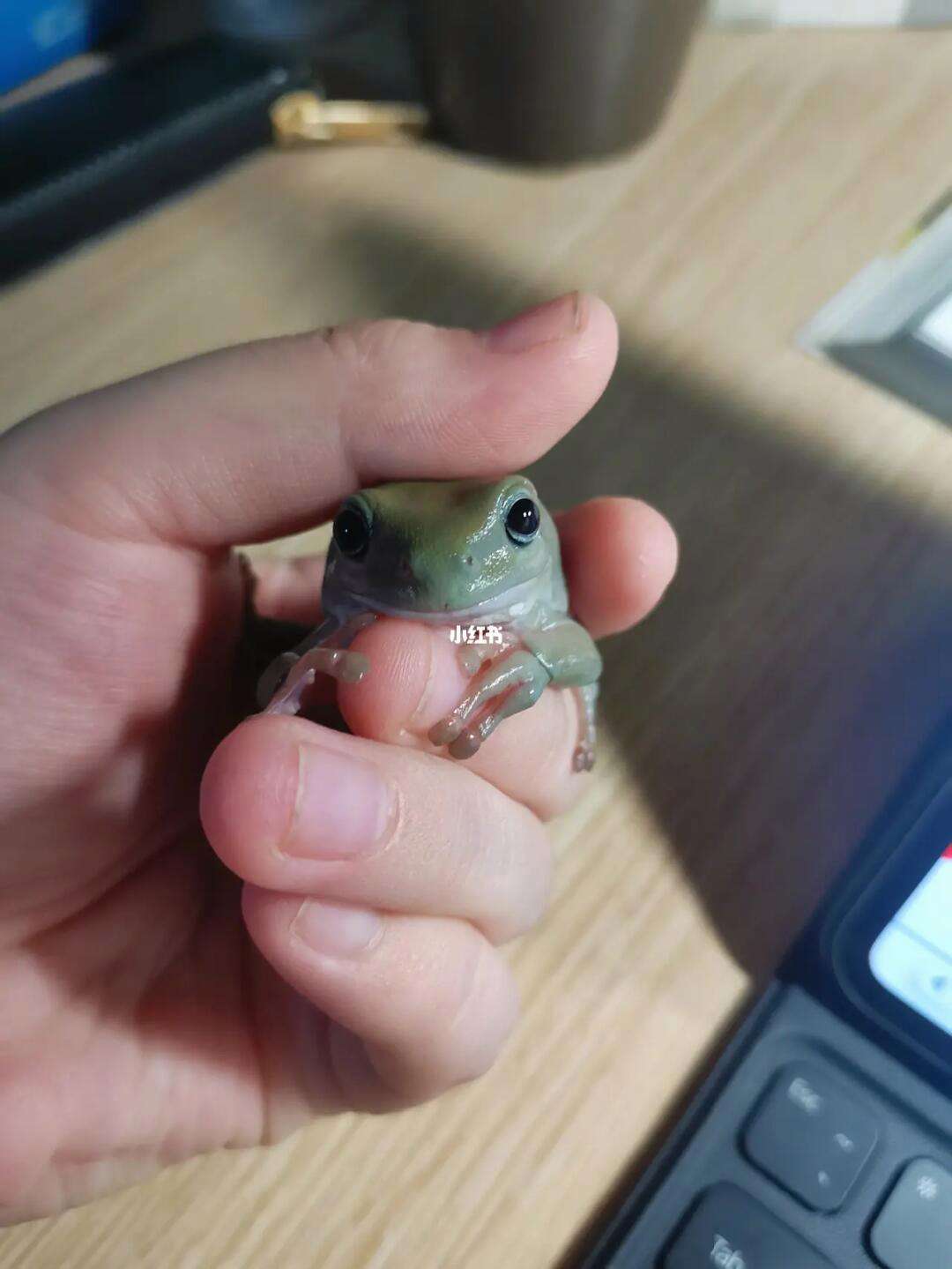 一起装修网 第18页