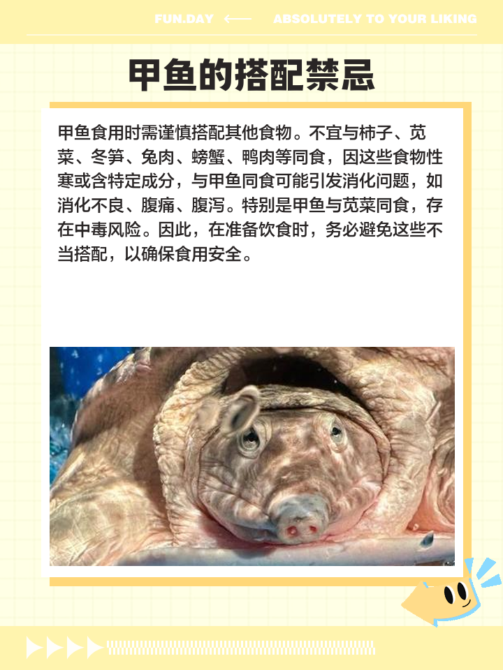 甲鱼内脏哪些能吃哪些不能吃,甲鱼内脏哪些能吃哪些不能吃呢