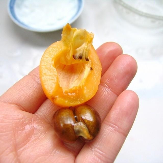 枇杷核中毒怎么办枇杷核煮水有毒吗,枇杷核有毒吗 枇杷核怎么吃不会中毒