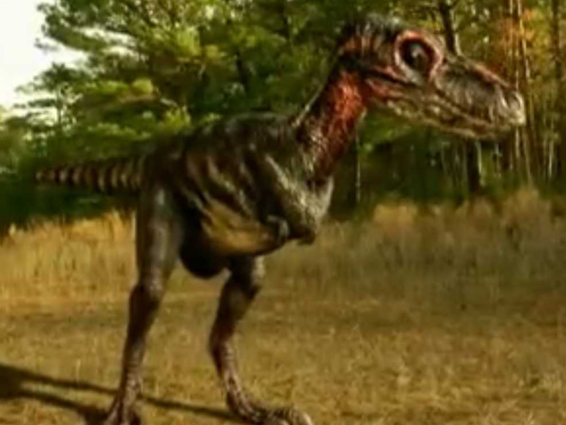 暴龙和霸王龙有什么不同,暴龙和霸王龙有什么不一样