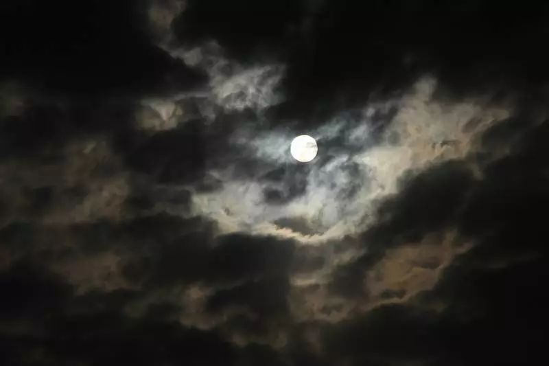 什么风什么月,什么风什么月组词