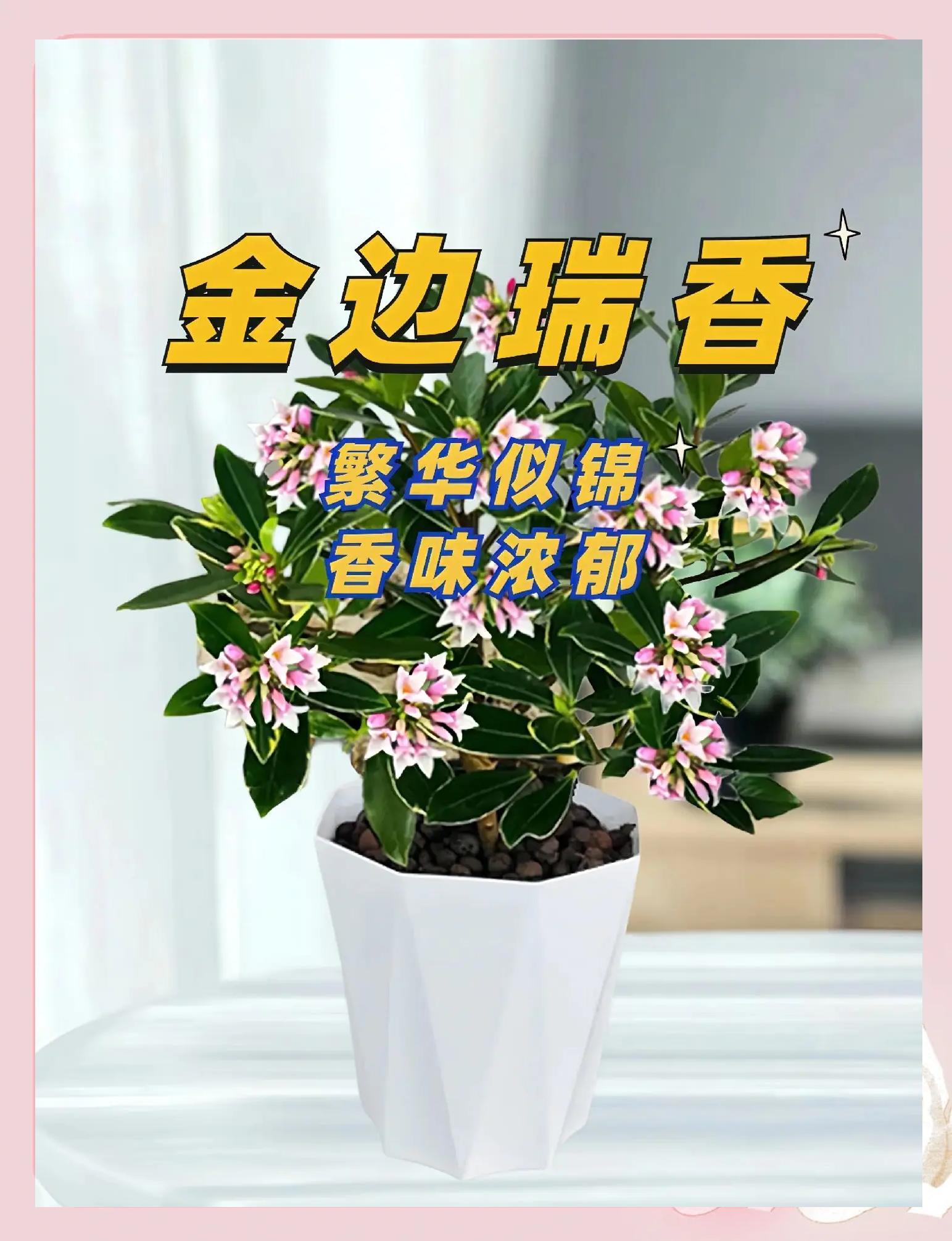百度贴吧 第17页