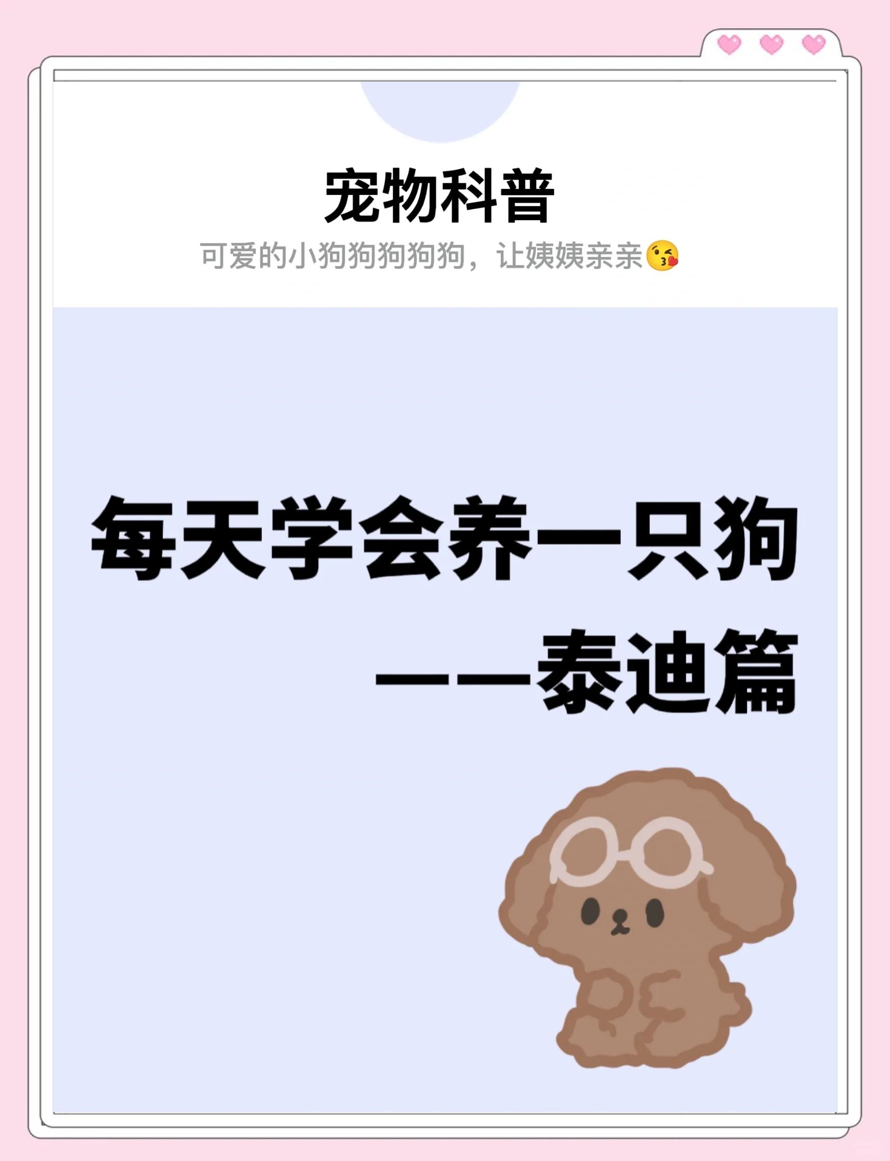 泰迪犬怎么养才听话,泰迪犬怎么养才听话视频