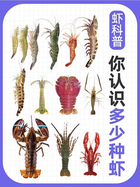 海水虾和淡水虾有什么区别,海水虾和淡水虾形态上有什么区别