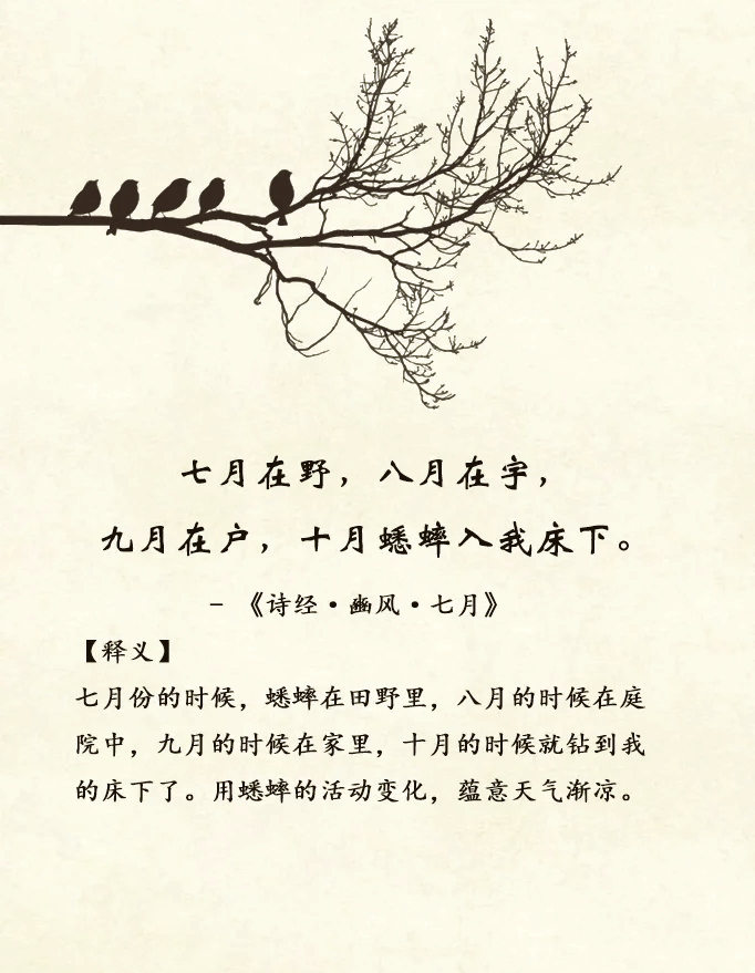 腾讯软件中心 第17页