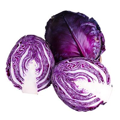 紫色的包菜叫什么,紫色的包菜的功效与作用