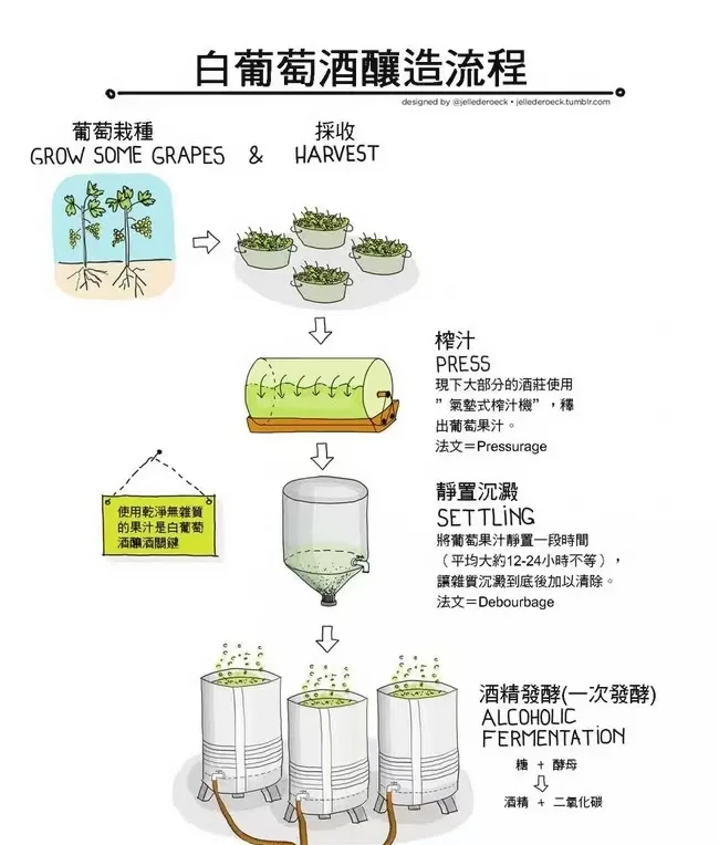 葡萄酒制作过程,家庭版葡萄酒制作过程