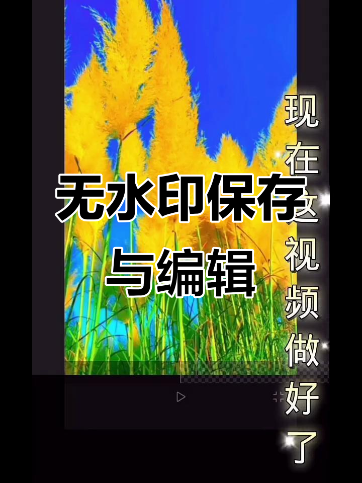 快手提取视频无水印,免费去水印永久免费的软件