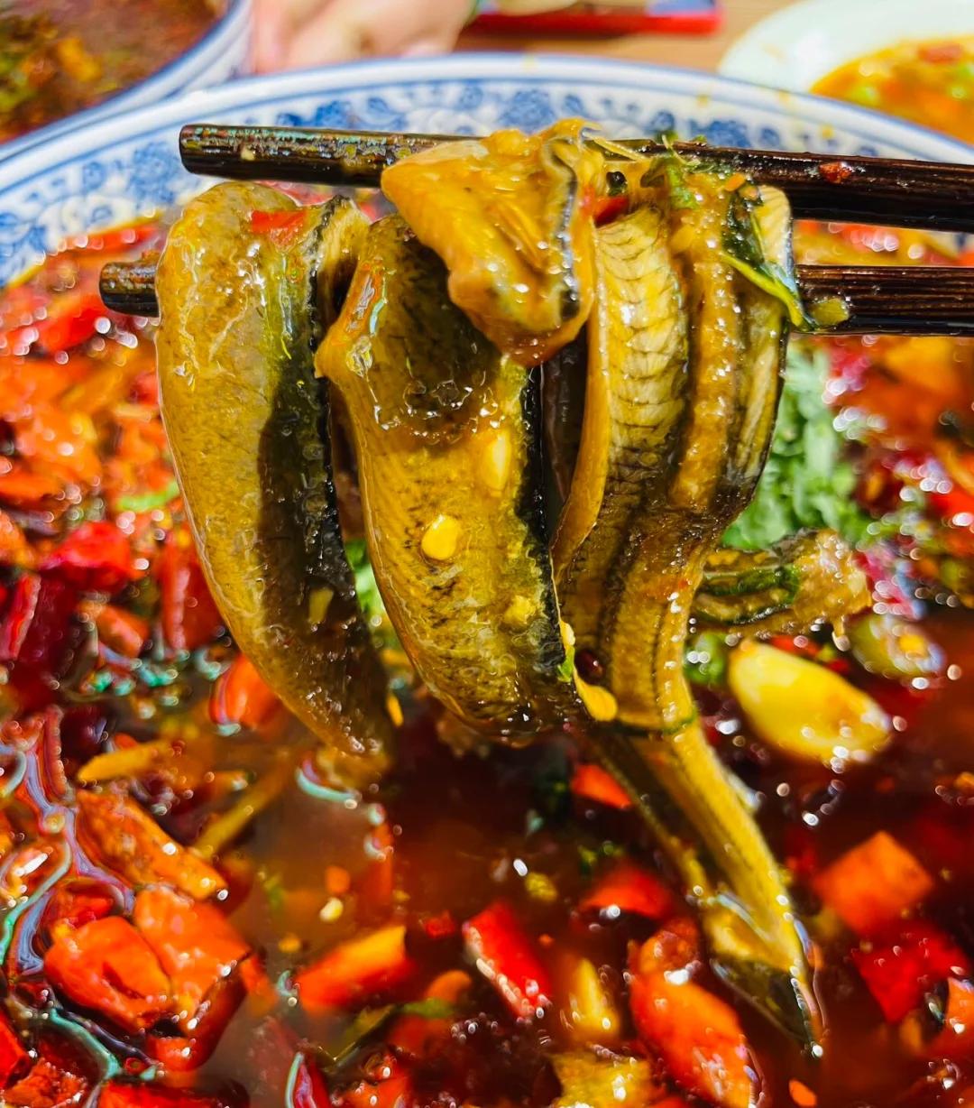 红鳝鱼做法,红鳝鱼怎么做