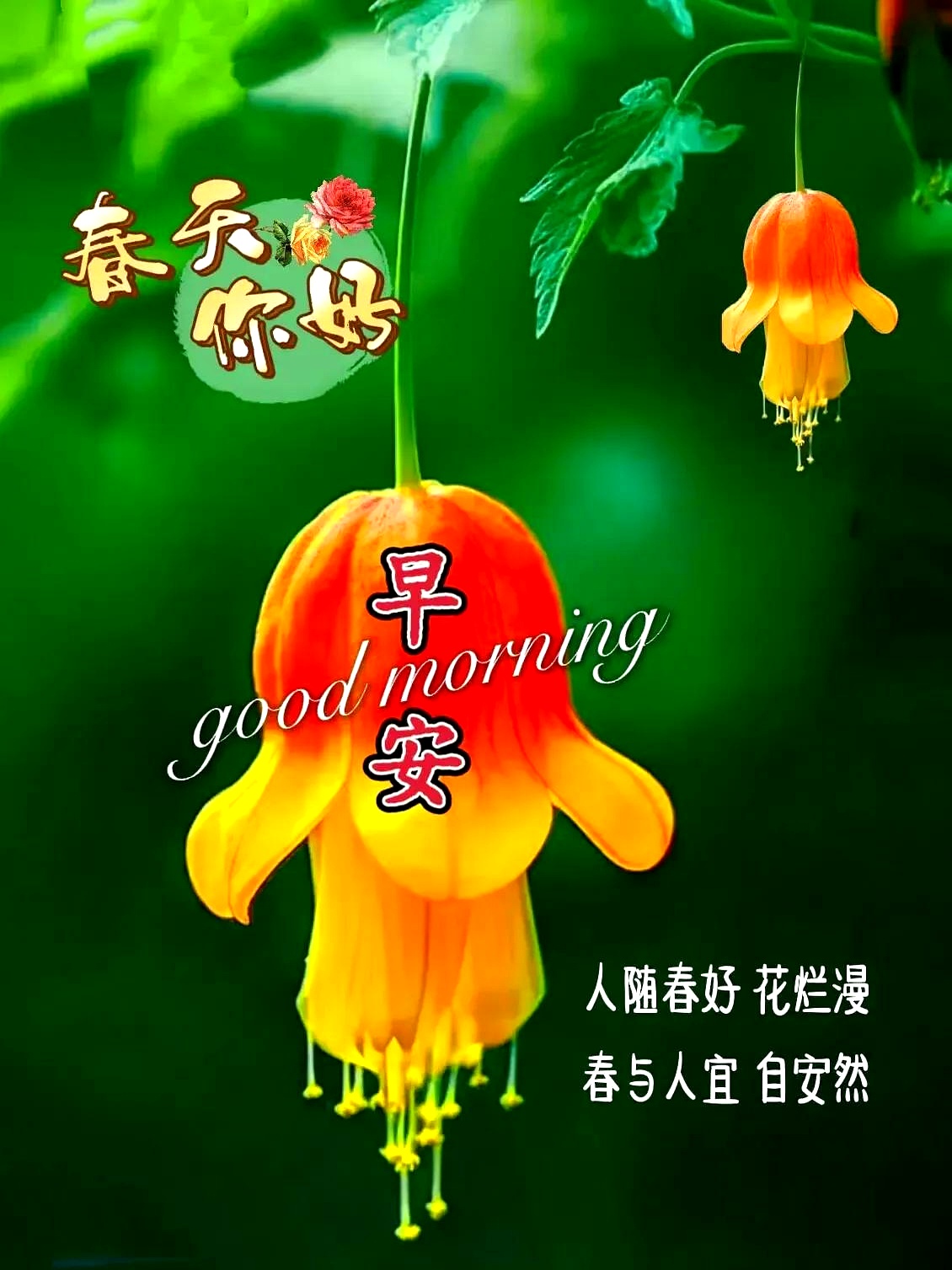春天祝福语,春天祝福语2022最火