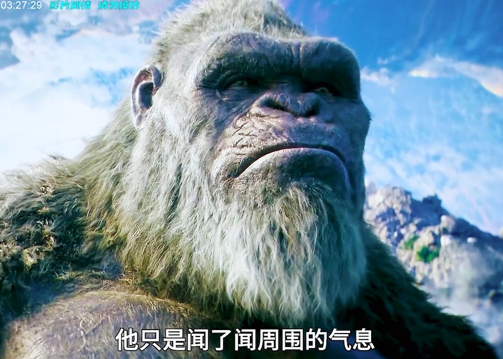 有金刚的电影有哪些,金刚题材的电影大全