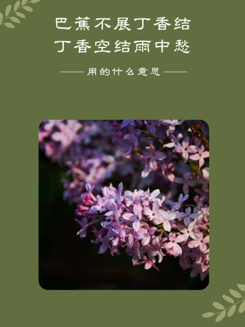 凭栏的意思是什么,凭栏的意思是什么解释词语