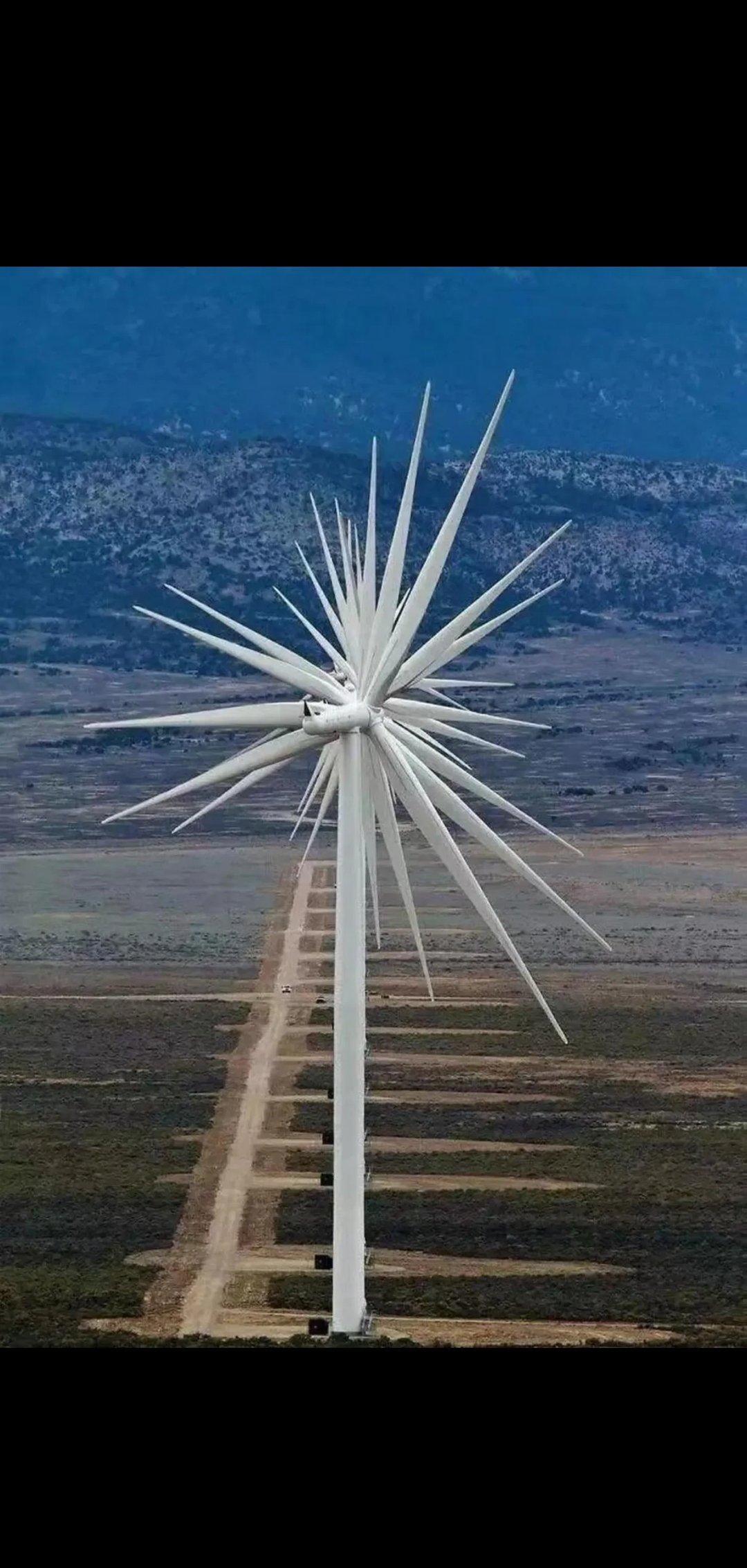 风驰电掣什么意思,风驰电掣成语什么意思