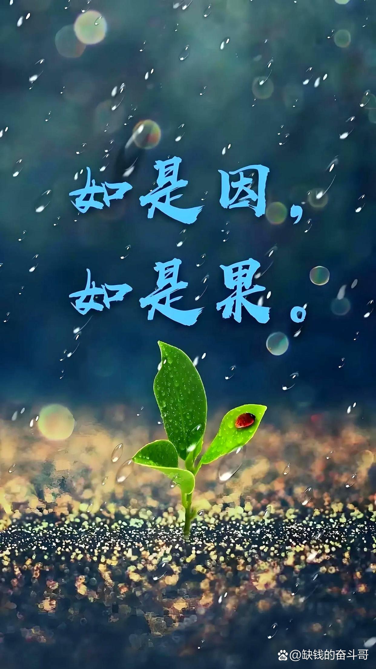 绿色资源网 第13页