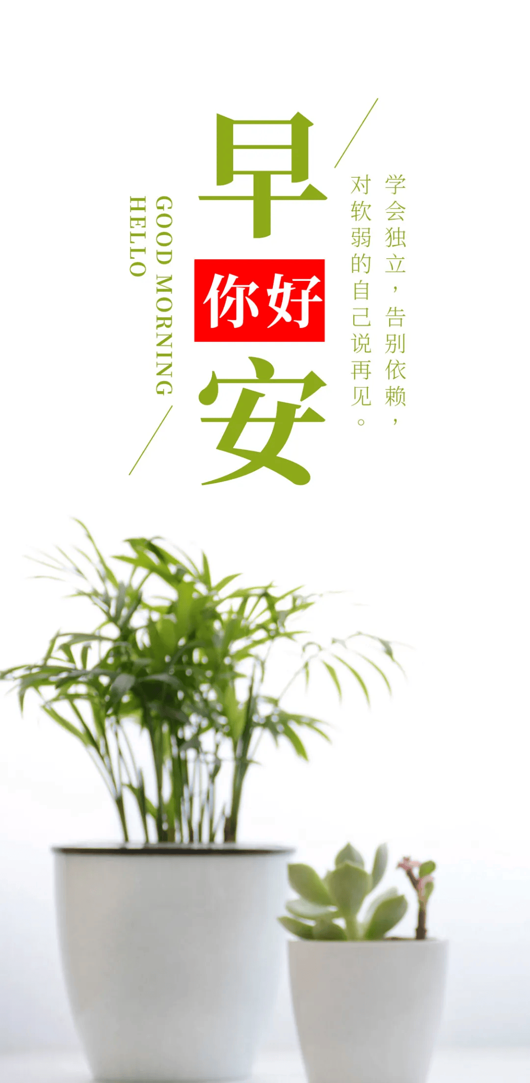 2025年10月18日 第2页