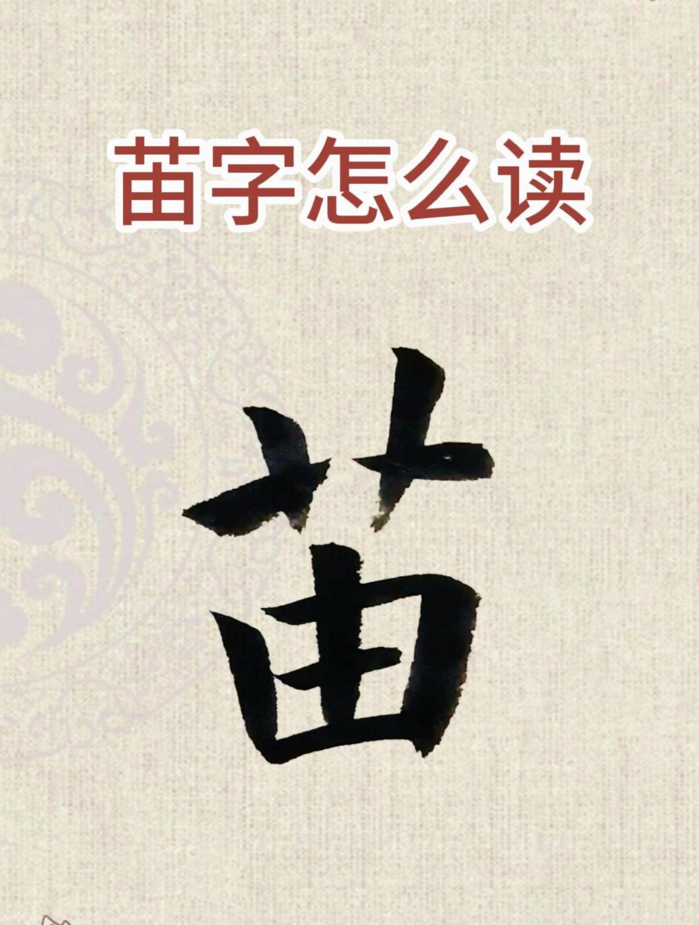 狨字应该怎么读,尜尜尕尕的读音