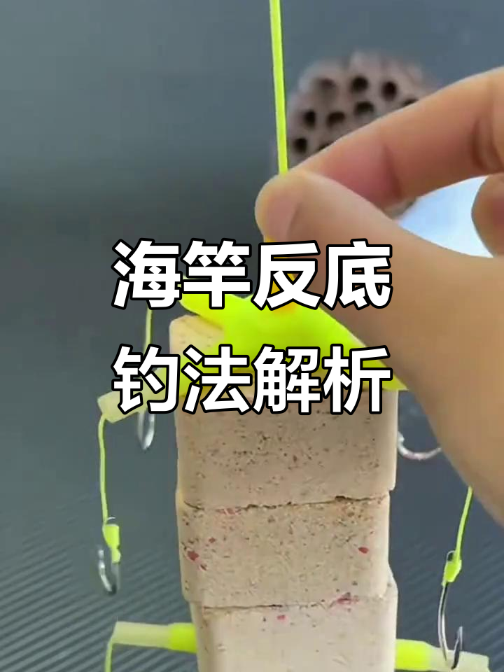 如何钓鲢鳙鲢鳙钓鱼技巧,怎么钓鲢鳙鱼