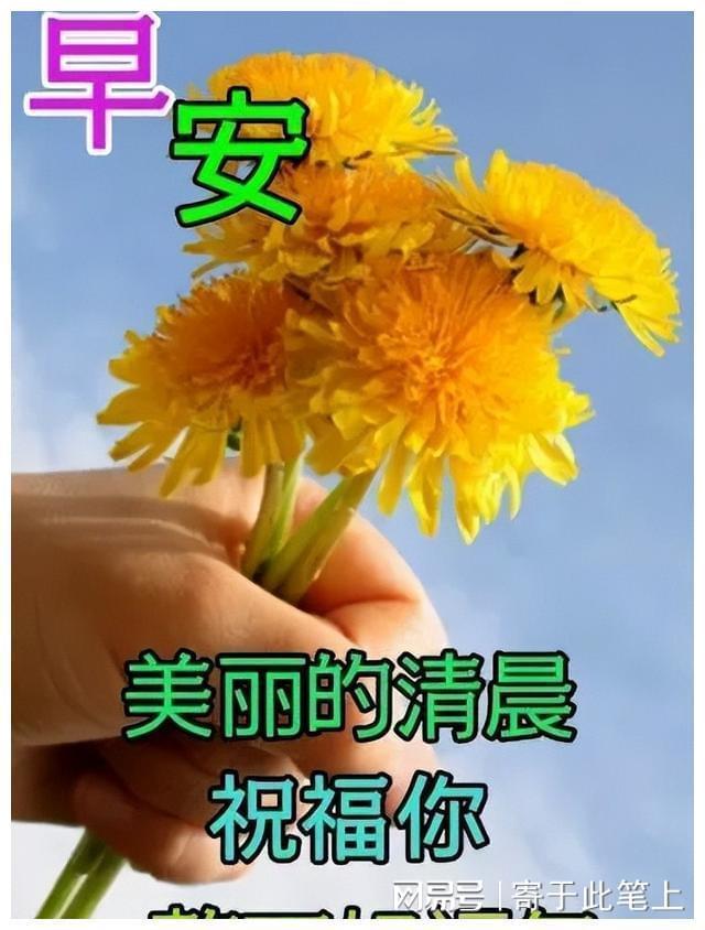 最美的祝福,最美的祝福唯美的句子